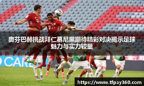 YY易游官方网站